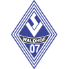 Waldhof Mannheim