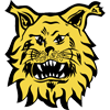 Ilves